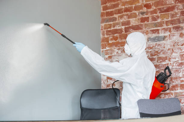  Creswell, OR Mold Removal Pros