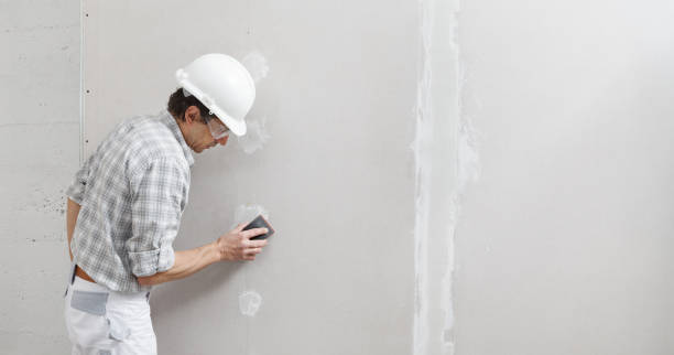 Best Post-Construction Mold Inspection  in Creswell, OR