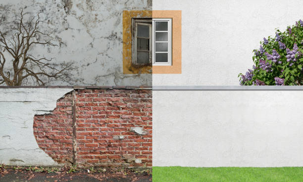 Best Mold Removal for HVAC Installations  in Creswell, OR